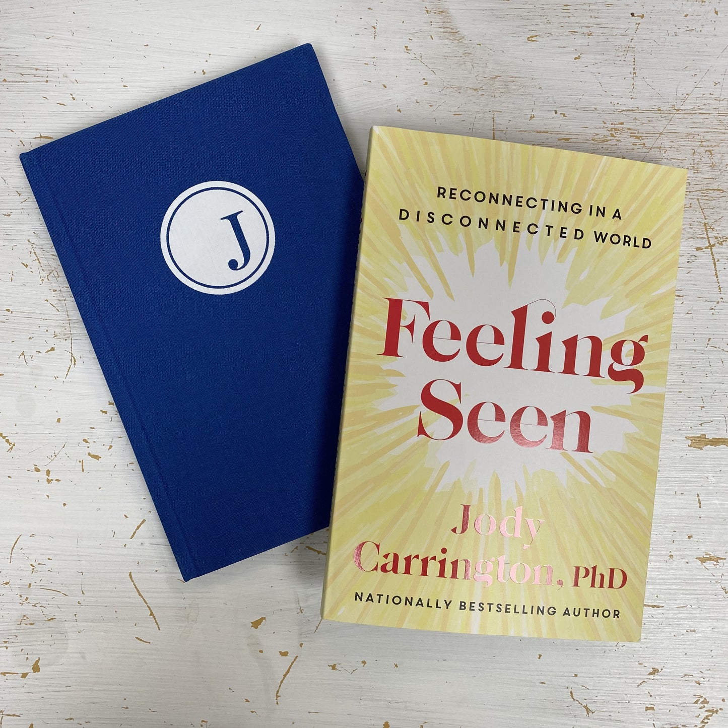 Jody's Gratitude Journal + Her Best Selling Feeling Seen Book!